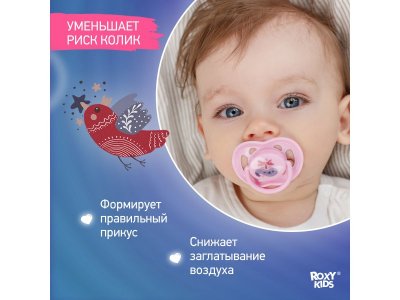 Пустышка Roxy-Kids Scandi ортодонтическая силиконовая с футляром, 0-6 мес, 2 шт. 1-00433123_13