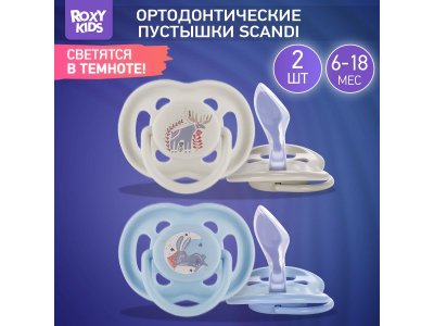 Пустышка Roxy-Kids Scandi ортодонтическая силиконовая с футляром, 6-18 мес, 2 шт. 1-00433124_1