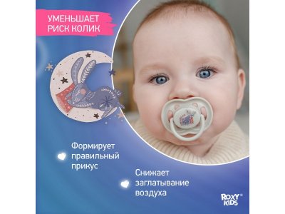 Пустышка Roxy-Kids Scandi ортодонтическая силиконовая с футляром, 6-18 мес, 2 шт. 1-00433124_2