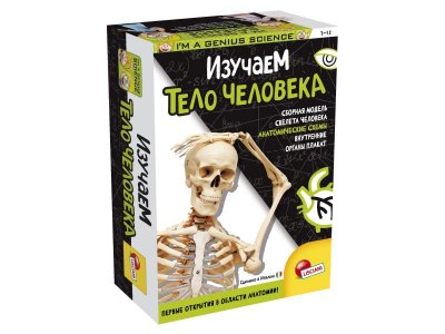 Набор игровой Lisciani Изучаем тело человека, серия I`m a Genius Science 1-00438435_1