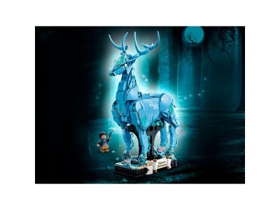 Конструктор  LEGO Harry Potter Экспекто Патронум 76414 1-00439996_4