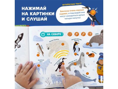 Интерактивная книга Abumba Fingerbook Какие бывают животные 1-00440978_13