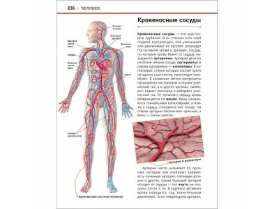 Книга Росмэн Большая энциклопедия российского школьника 1-00441114_15