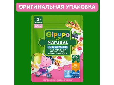 Каша Gipopo молочная Мультизлаковая с кус. яблока, малины и черной смородиной с 12 мес., 200 г 1-00443785_5