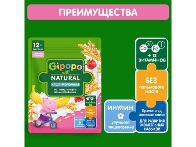 Каша Gipopo молочная Мультизлаковая с кус. банана и клубники с 12 мес., 200 г 1-00443787_2