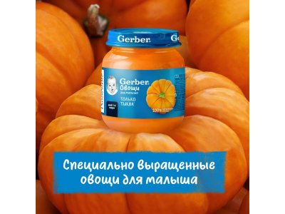 Пюре Gerber Тыква для первого прикорма с 4 мес., 125 г 1-00446046_3