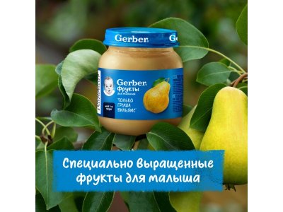 Пюре Gerber Груша для первого прикорма с 4 мес., 125 г 1-00446048_13