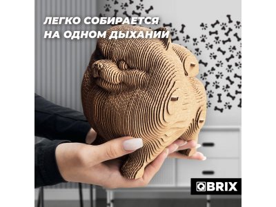 Конструктор Qbrix Картонный 3D Шпиц 1-00446225_4