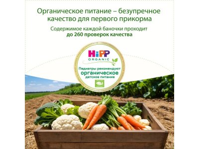 Пюре Hipp Овощное ассорти 100 г 1-00423928_10