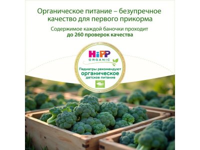 Пюре Hipp Брокколи с рисом 100г 1-00423929_10