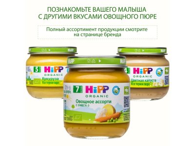 Пюре Hipp Брокколи с рисом 100г 1-00423929_13
