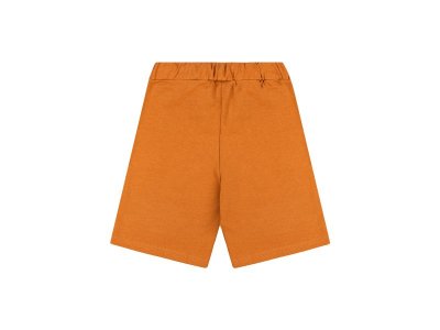 Шорты Leratutti 1-00443703_3