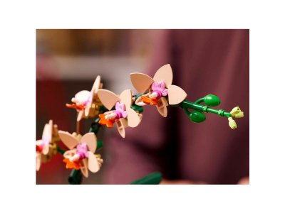 Конструктор LEGO Botanicals Орхидея Мини 10343 1-00448152_3