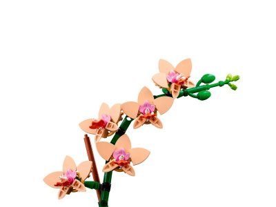 Конструктор LEGO Botanicals Орхидея Мини 10343 1-00448152_5