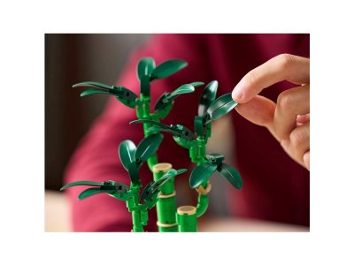 Конструктор LEGO Botanicals Счастливый Бамбук 10344 1-00448153_3