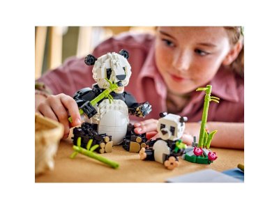 Конструктор LEGO Creator 3-in-1 Дикие животные: Семья Панд 31165 1-00448173_6