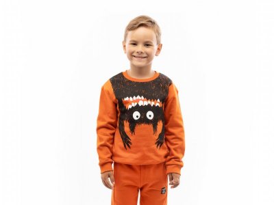 Свитшот Palloncino Monster boys 1-00426041_1
