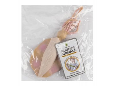 Игрушка Ocie Морские животные в ассортименте 1-00437231_11