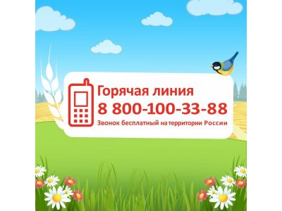 Каша Малютка молочная рисовая с абрикосом и персиком 220 г, пауч 1-00210324_7