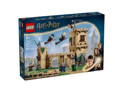 Конструктор LEGO Harry Potter Замок Хогвартс - Уроки полетов 76447 1-00455175_3