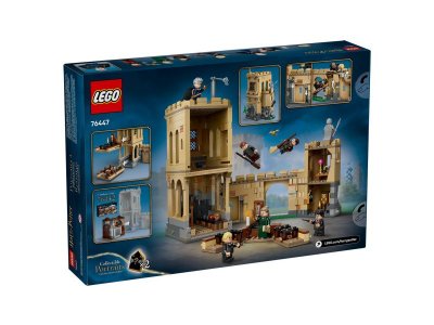 Конструктор LEGO Harry Potter Замок Хогвартс - Уроки полетов 76447 1-00455175_11