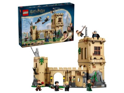 Конструктор LEGO Harry Potter Замок Хогвартс - Уроки полетов 76447 1-00455175_1