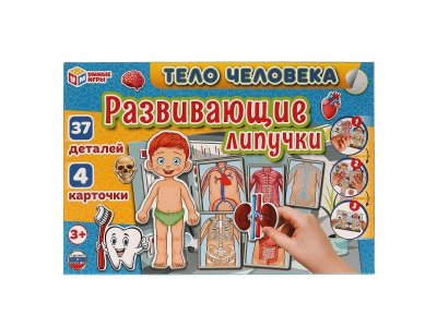Игра развивающая Умные игры Развивающие липучки Тело человека 1-00454955_1