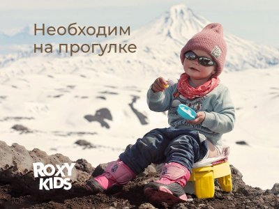 Горшок дорожный Roxy-Kids HandyPotty 2 в 1 с тремя пакетами 1-00345690_4