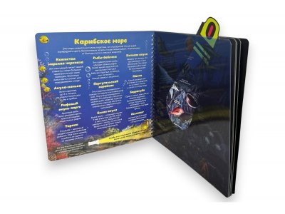 Книга с фонариком  БимБиМон  Кто живёт под водой 1-00456017_2