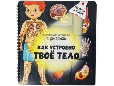 Книга с фонариком  БимБиМон  Как устроено твое тело 1-00456019_1