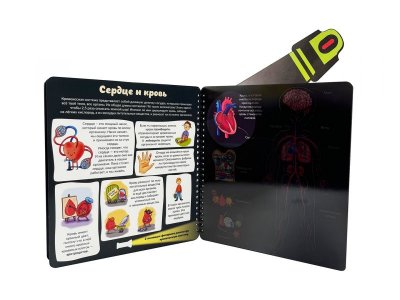 Книга с фонариком  БимБиМон  Как устроено твое тело 1-00456019_3