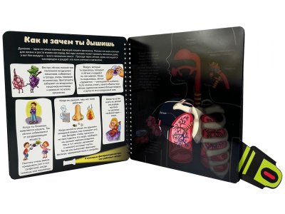 Книга с фонариком  БимБиМон  Как устроено твое тело 1-00456019_4