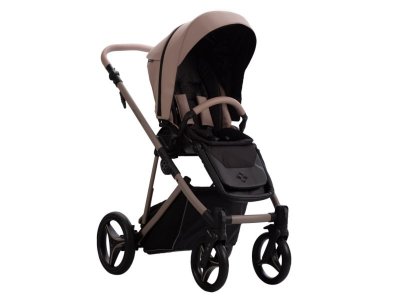 Коляска 2в1 Bebetto Pelpasso Pro 1-00456361_3