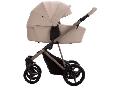 Коляска 2в1 Bebetto Pelpasso Pro 1-00456362_5