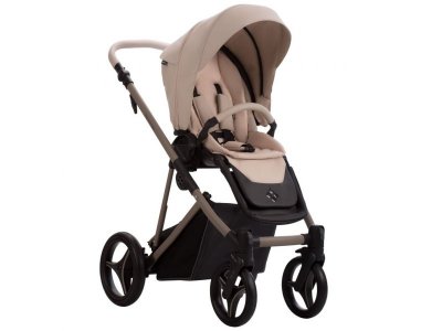 Коляска 2в1 Bebetto Pelpasso Pro 1-00456362_7