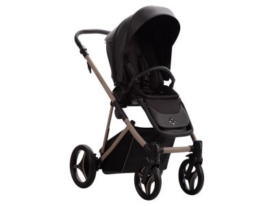Коляска 2в1 Bebetto Pelpasso Pro 1-00456363_3