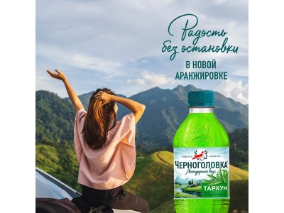 Лимонад Черноголовка Тархун 0,5 л ПЭТ 1-00434118_3