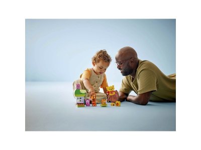 Конструктор LEGO Duplo День Рождения Винни-Пуха 10457 1-00457465_3