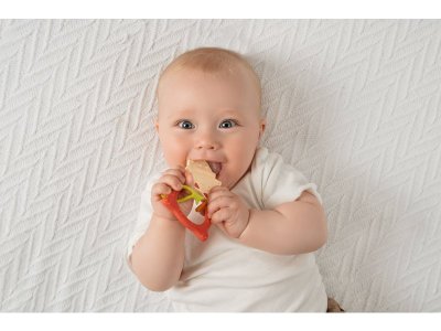 Прорезыватель Roxy-Kids Meow Teether 1-00457532_5