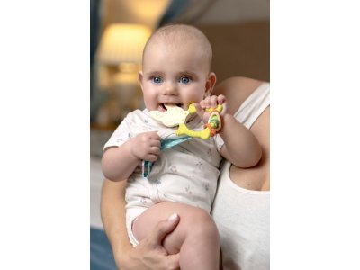 Прорезыватель Roxy-Kids Bunny с держателем 1-00457533_6