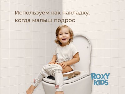 Горшок дорожный Roxy-Kids HandyPotty 3 в 1 универсальный 1-00457655_5