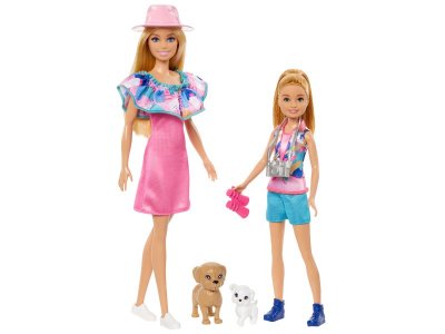 Набор игровой Barbie Stacie Кукла Барби и Стейси с 2 фигурками питомцев и акс. 1-00457577_5