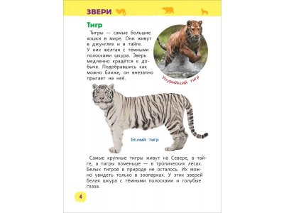 Книга Росмэн Энциклопедия для детского сада Дикие животные 1-00459141_2