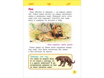 Книга Росмэн Энциклопедия для детского сада Дикие животные 1-00459141_3