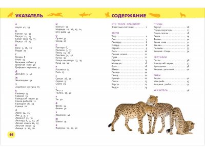 Книга Росмэн Энциклопедия для детского сада Дикие животные 1-00459141_6
