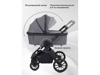 Коляска 2 в 1 Rant Falcon Neo 1-00458140_4