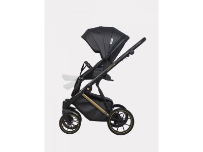 Коляска 2 в 1 Riko Basic Montana Premium Gold 1-00458199_2