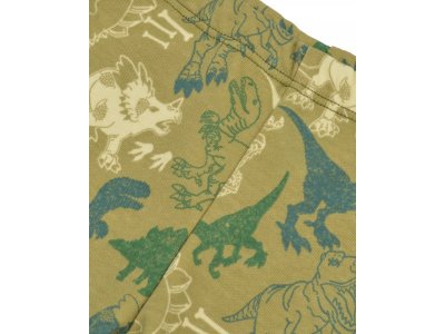 Шорты ГАМ 1-00458920_2