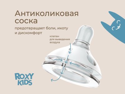 Бутылочка для кормления Roxy-Kids, быстрый поток, 6 мес.+, 260 мл 1-00459838_8
