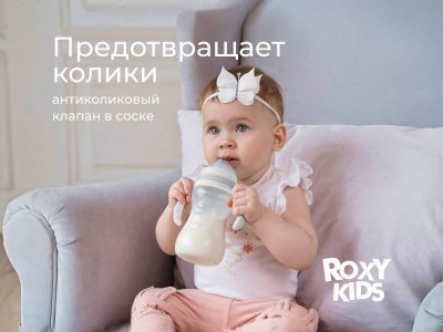 Бутылочка для кормления Roxy-Kids, быстрый поток, 6 мес.+, 260 мл 1-00459837_3
